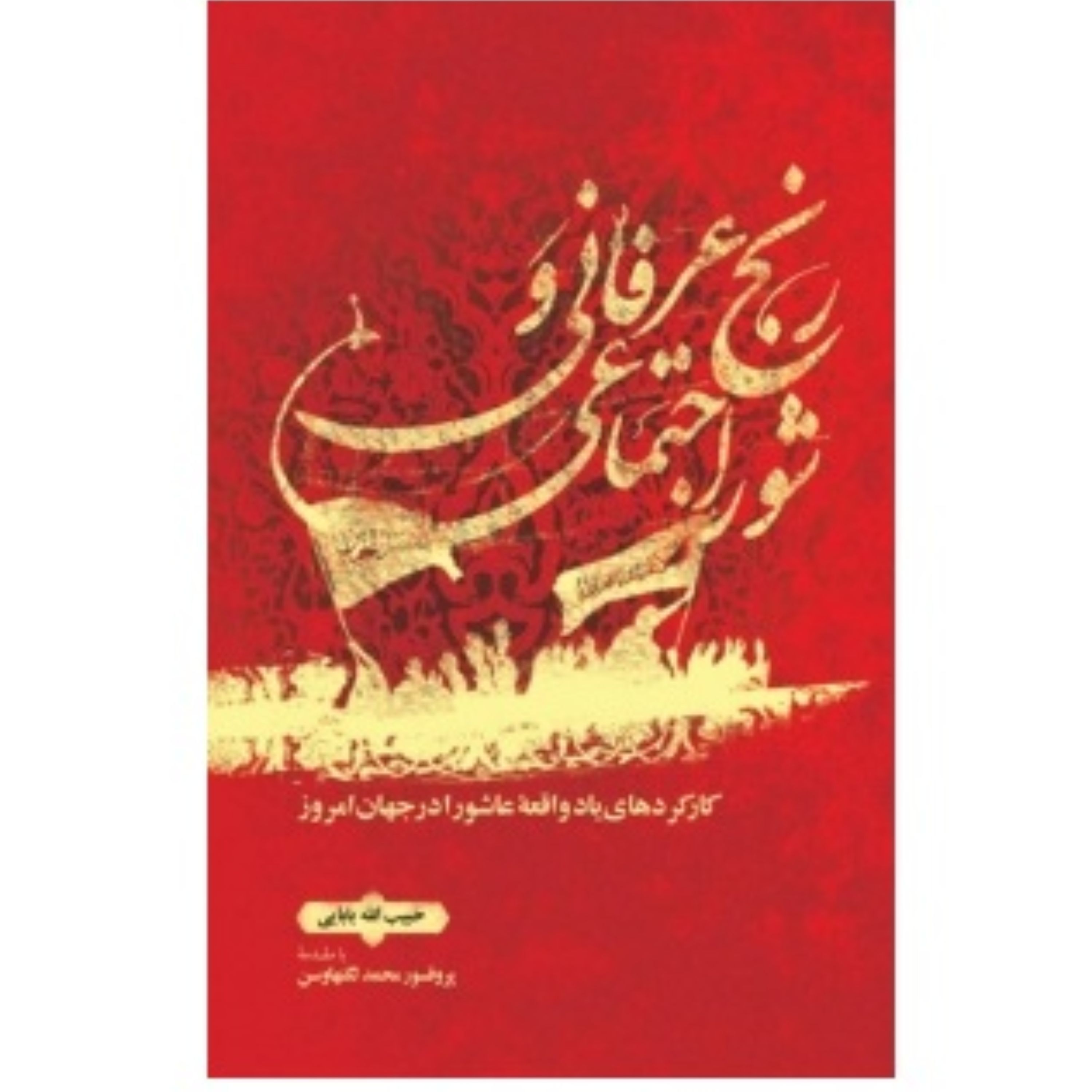 رنج عرفانی و شور اجتماعی کارکرد عاشورا برای امروز نوشته حبیب الله بابایی