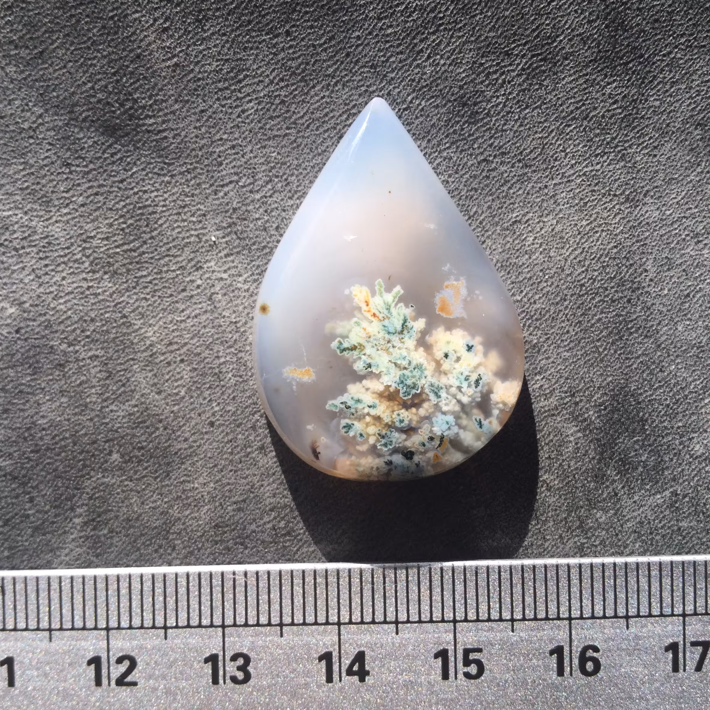 شجر فردوس زمینه نباتی و شکوفه های سبز 