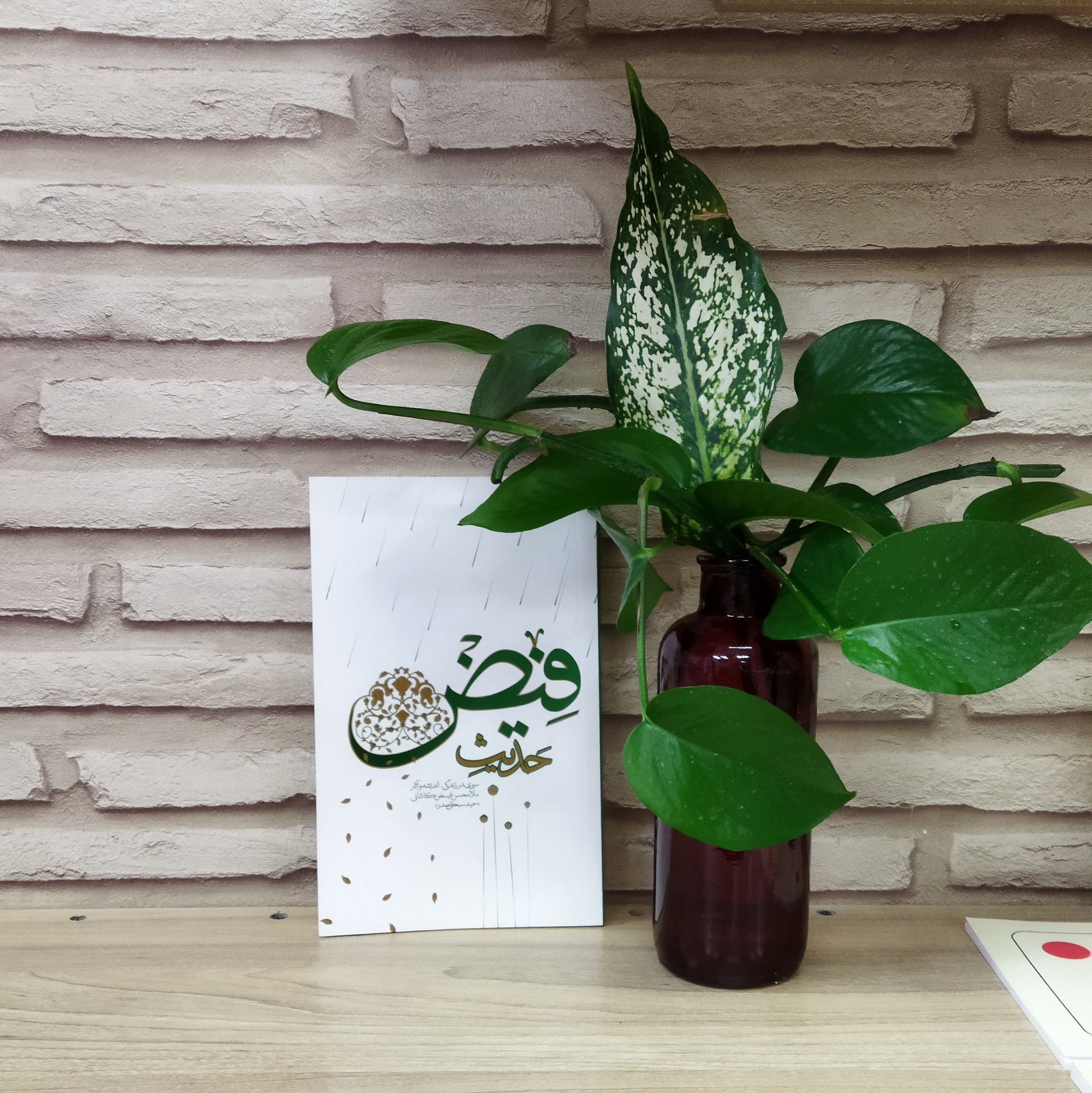 کتاب حدیث فیض سیری در زندگی اندیشه و آثار ملا محسن فیض کاشانی