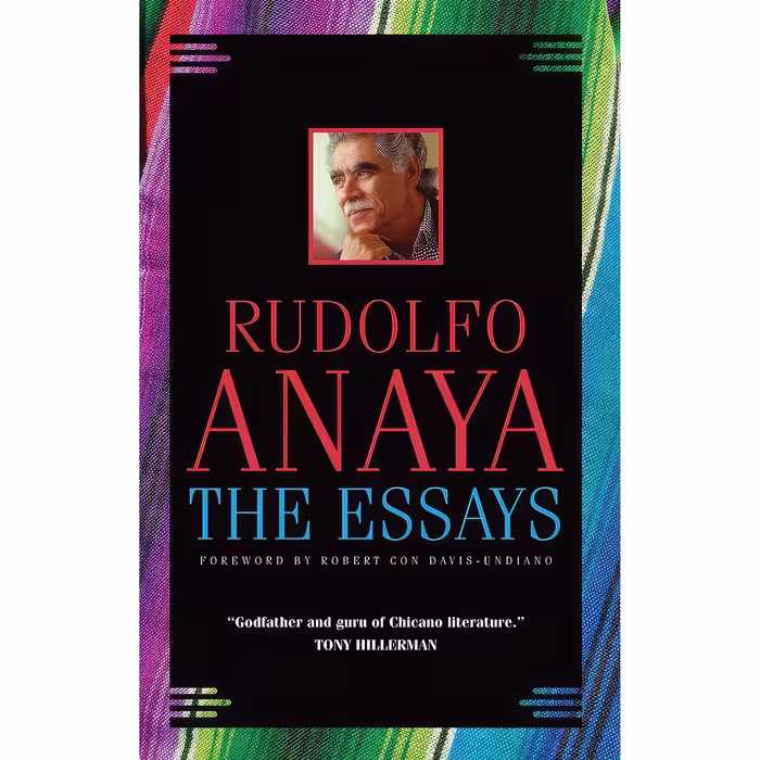 کتاب زبان اصلی The Essays Volume  Chicana and Chicano Visions of the Americas Se