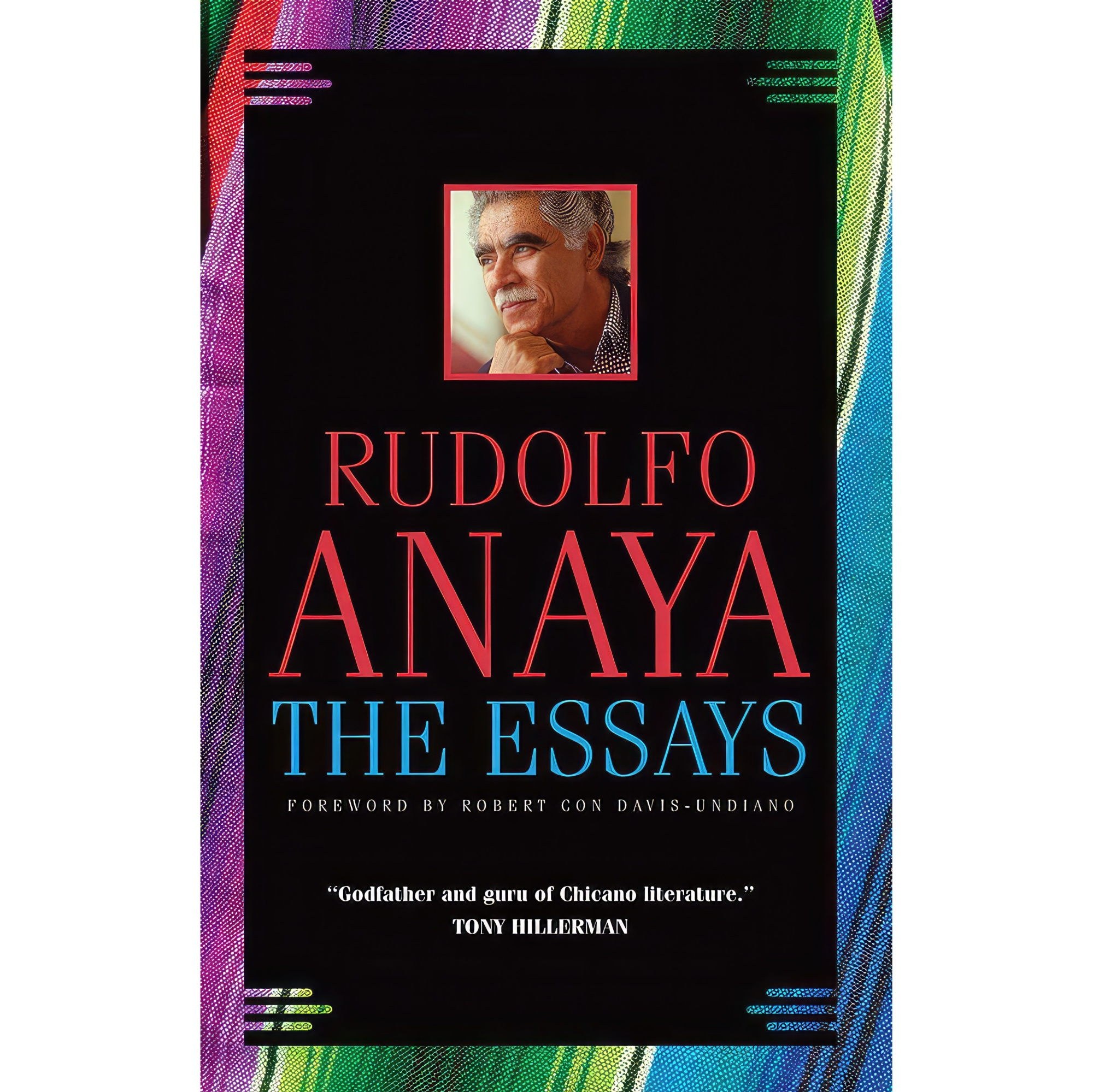 کتاب زبان اصلی The Essays Volume Chicana and Chicano Visions of the Americas Se