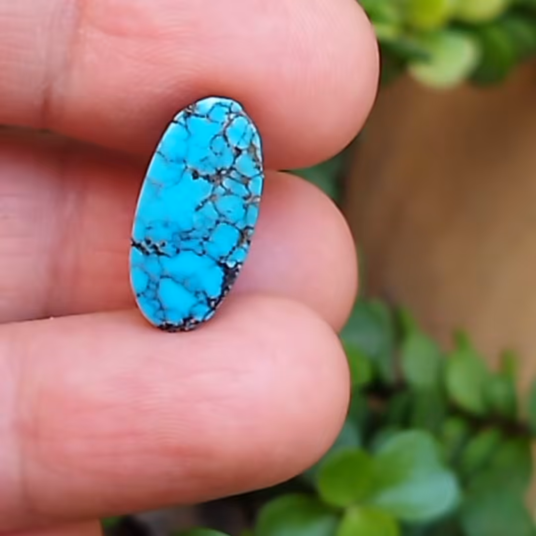 فیروزه نیشابوری بیضی