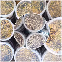 معجون عربی محصولی مقوی و پرطرفدار 