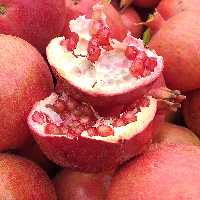 انار ارگانیک و طبیعی دنکرز ملس و شیرین