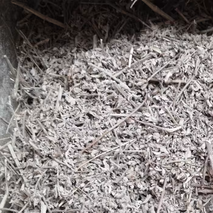 استاخدوس هندی 75 گرم