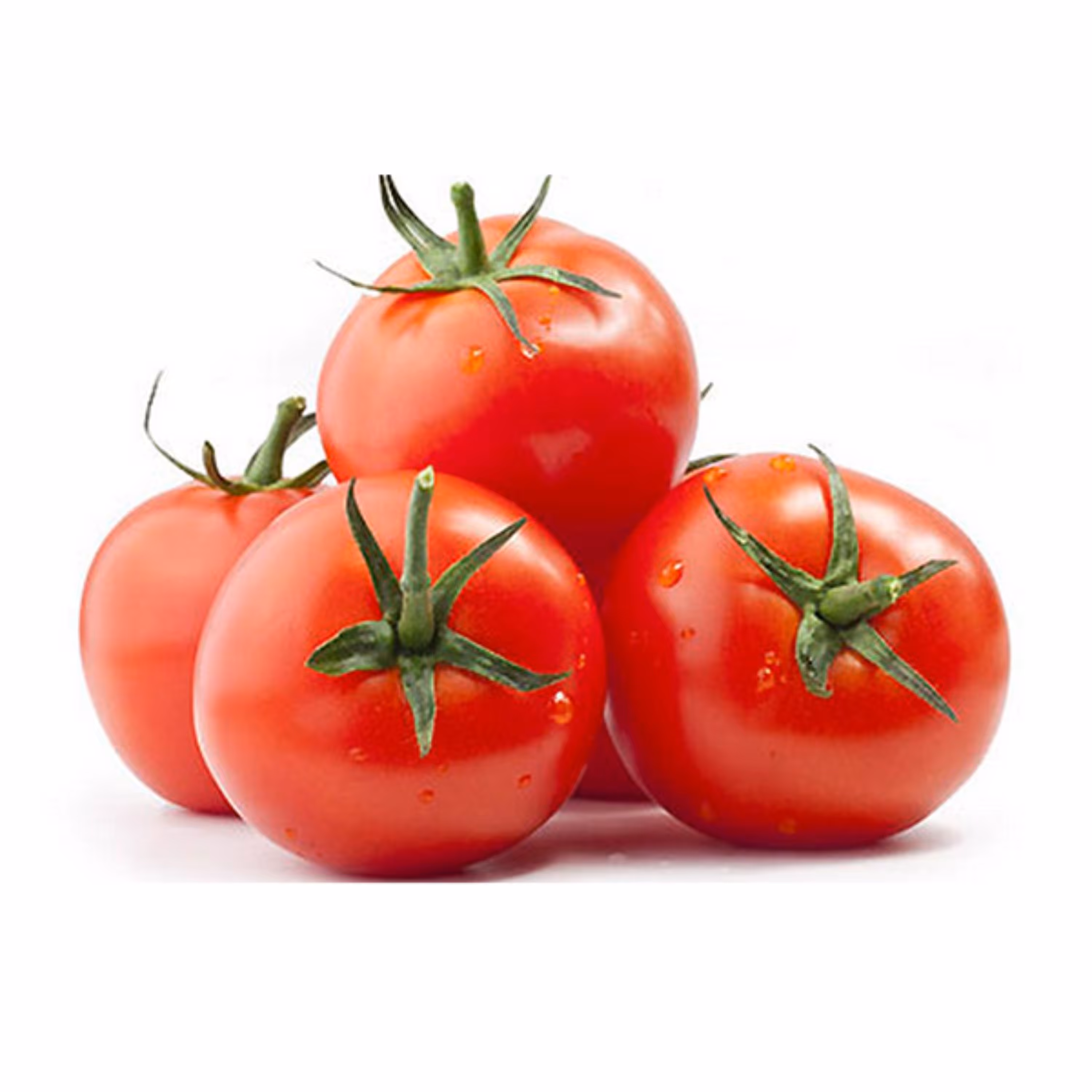 بذر گوجه مجار