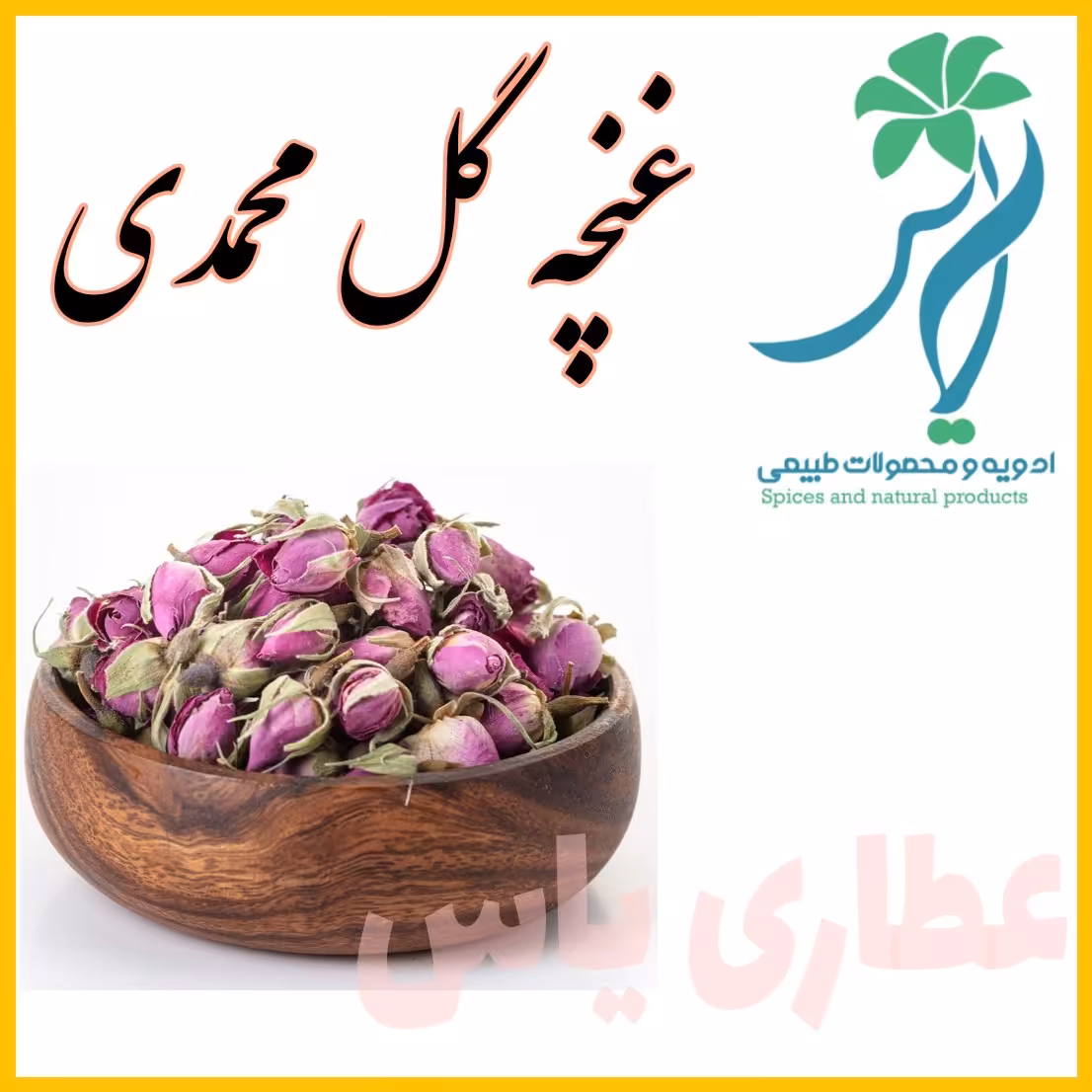 غنچه گل محمدی لاله زار کرمان  68 گرمی