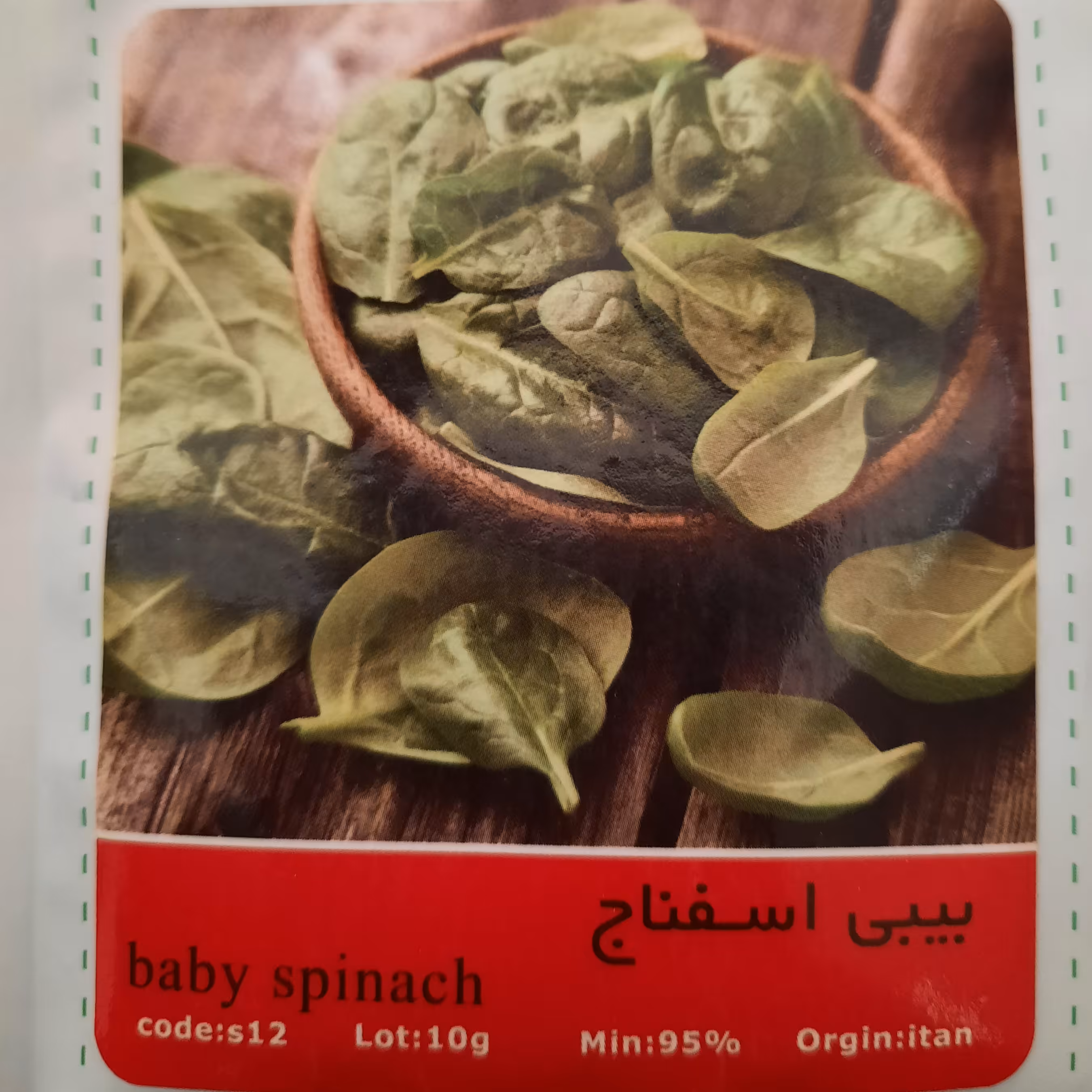 بذر بیبی اسفناج 
