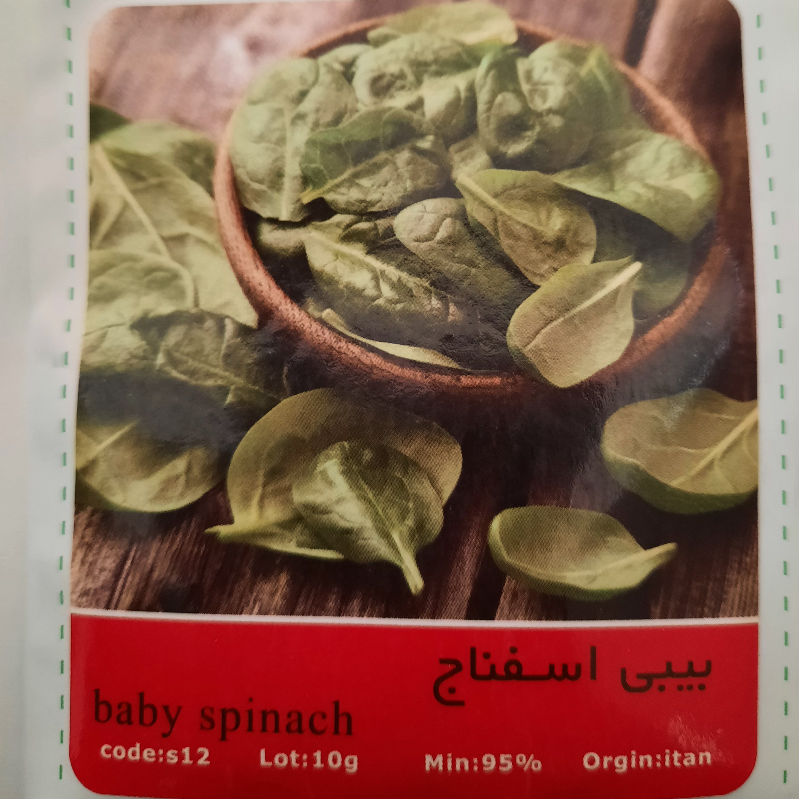 بذر بیبی اسفناج