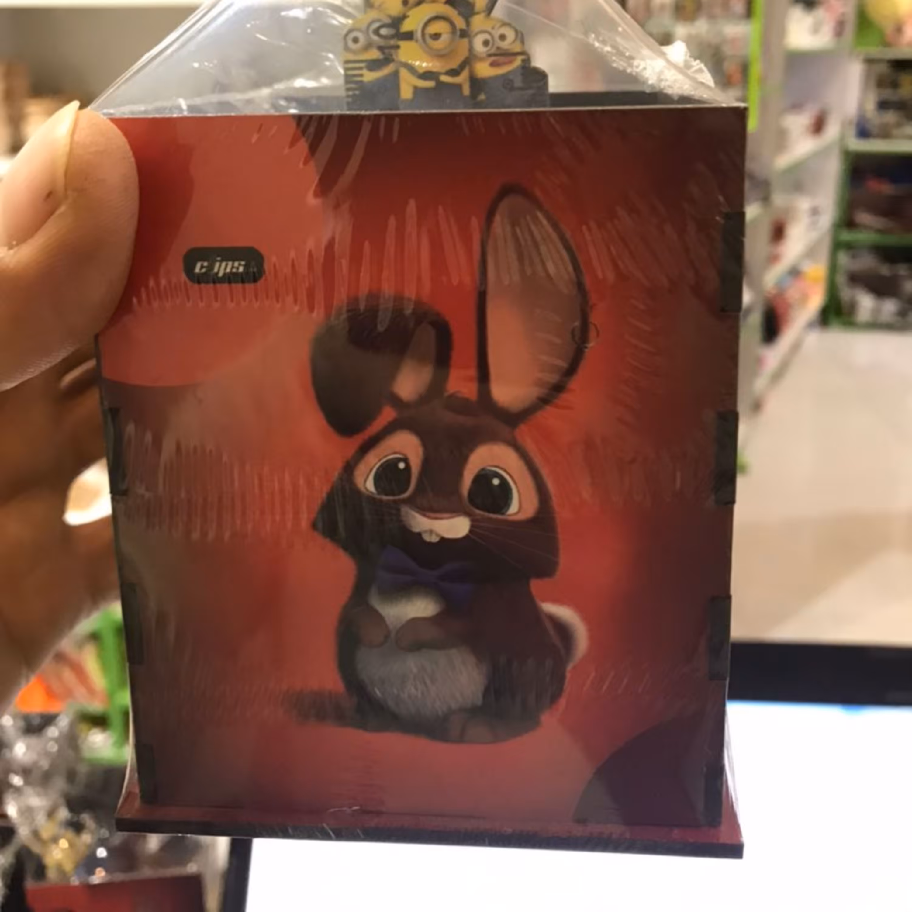 جاقلمی چوبی همراه با خطکش 