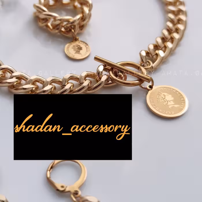 سرویس کارتیر سکه ای الیزابت استیل رنگ ثابت 