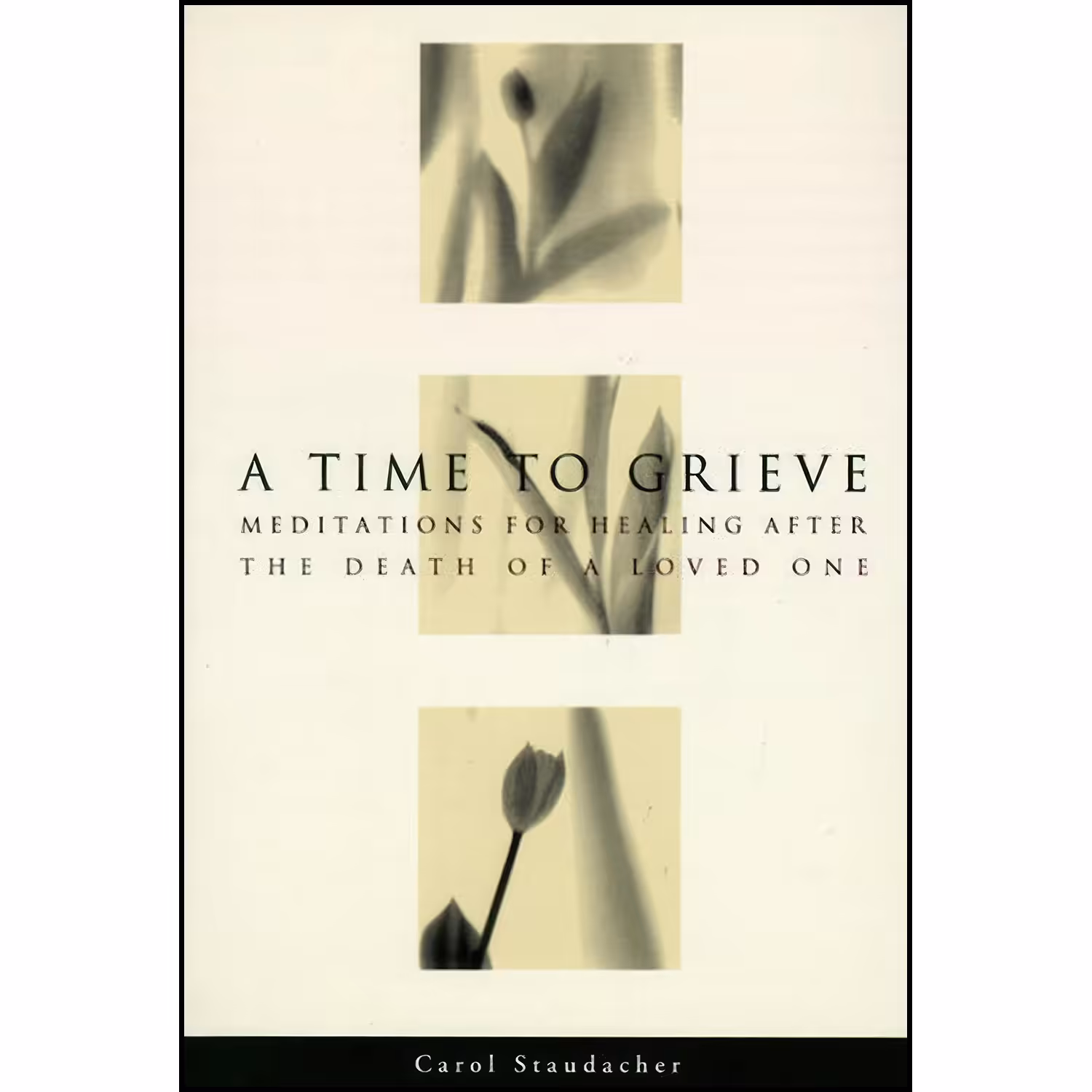 کتاب زبان اصلی A Time to Grieve اثر Carol Staudacher