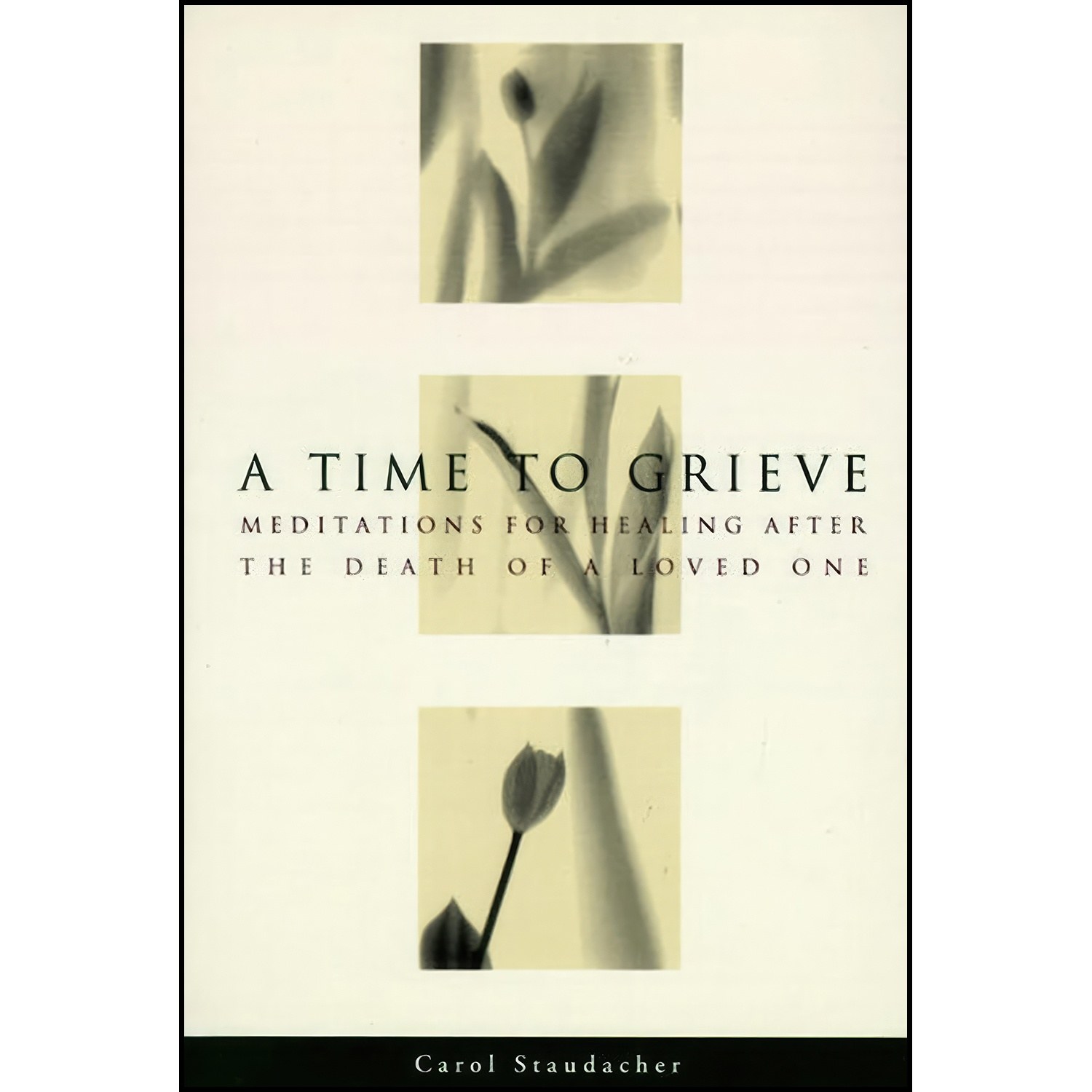 کتاب زبان اصلی A Time to Grieve اثر Carol Staudacher