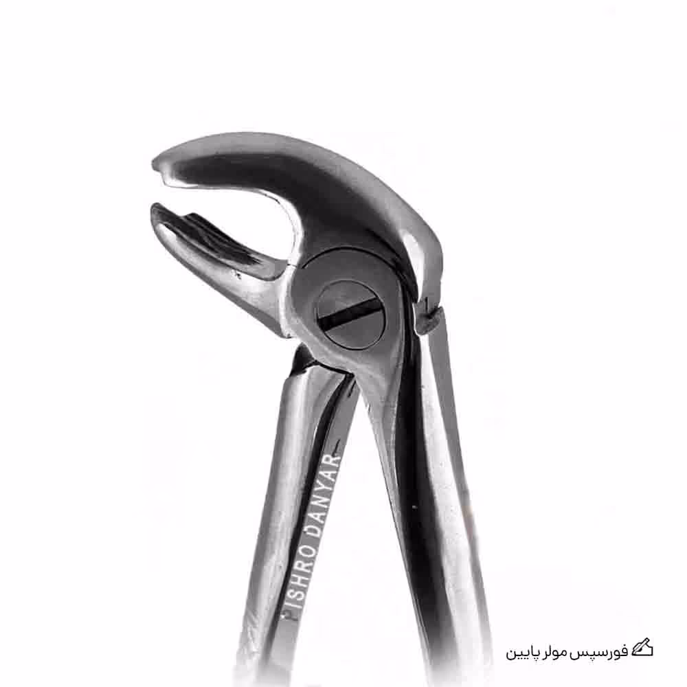 فورسپس مولر پایین