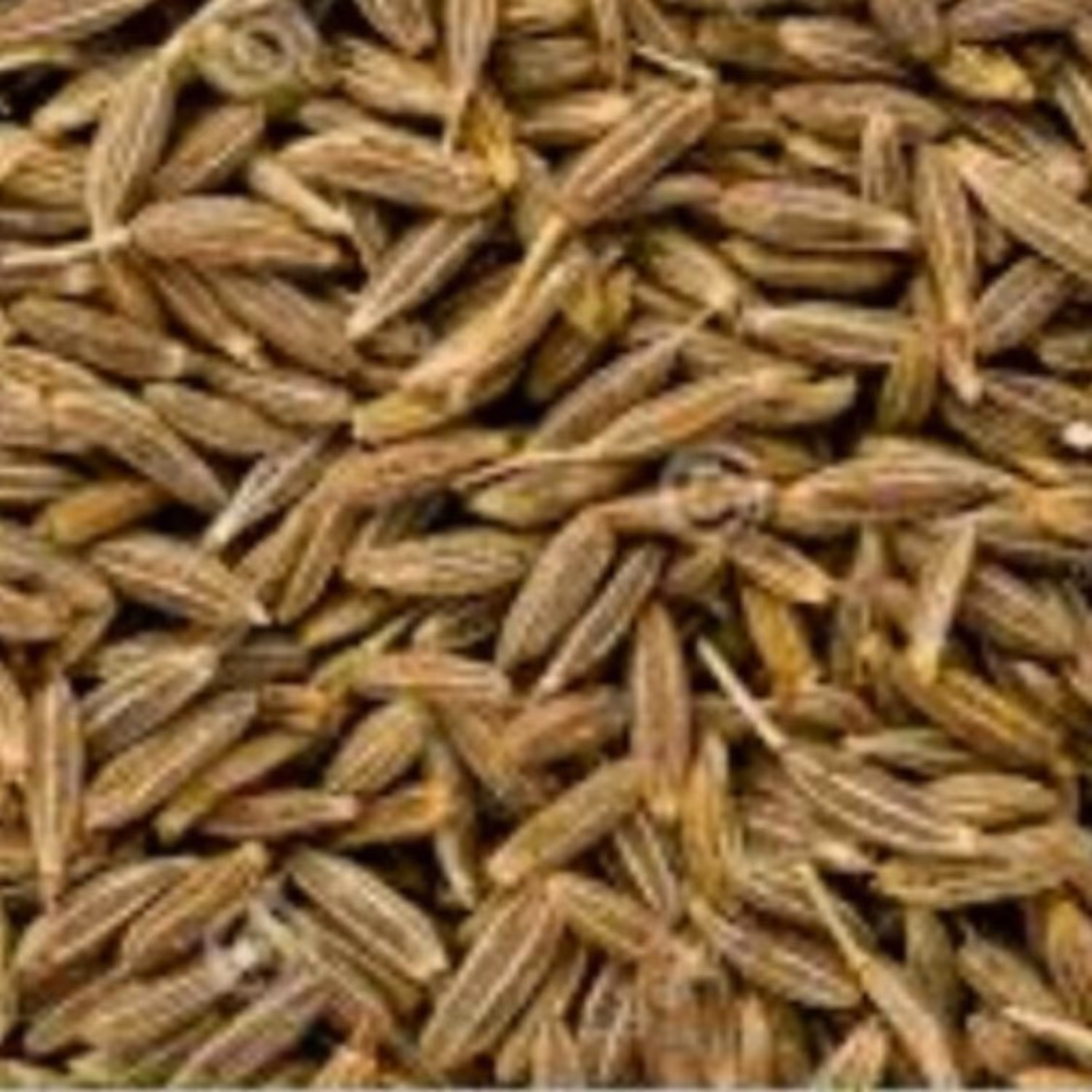 زیره سبز سورت شده صادراتی(50 گرم) 