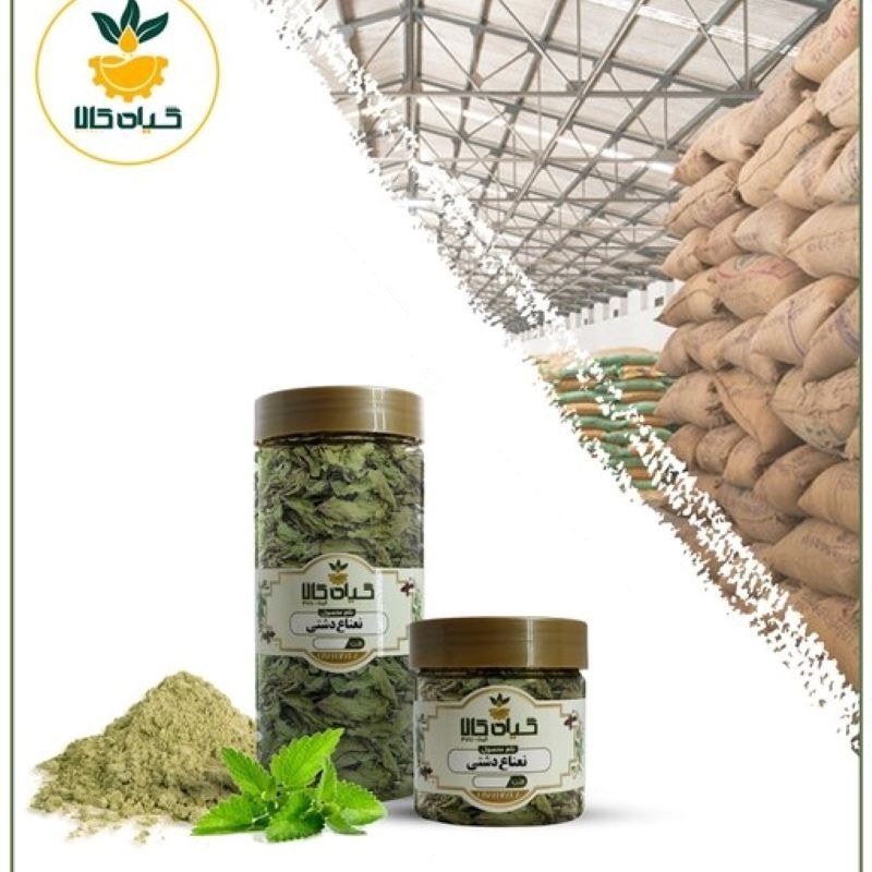 گیاه نعناع دشتی با کیفیت عالی، بار امسالی و تازه(200گرمی )