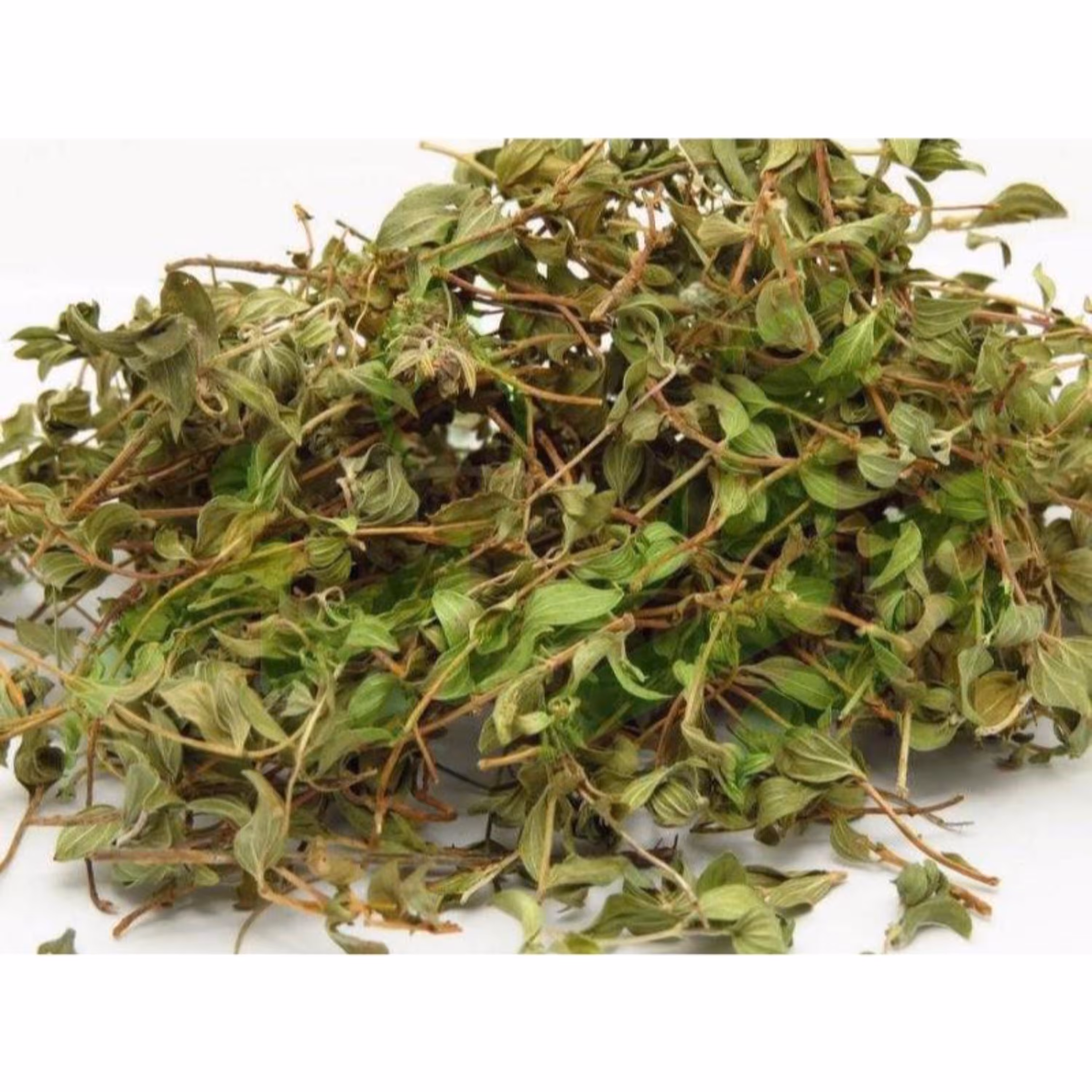 اویشن کوهی (برگ باریک-کاکوتی) 500 گرم