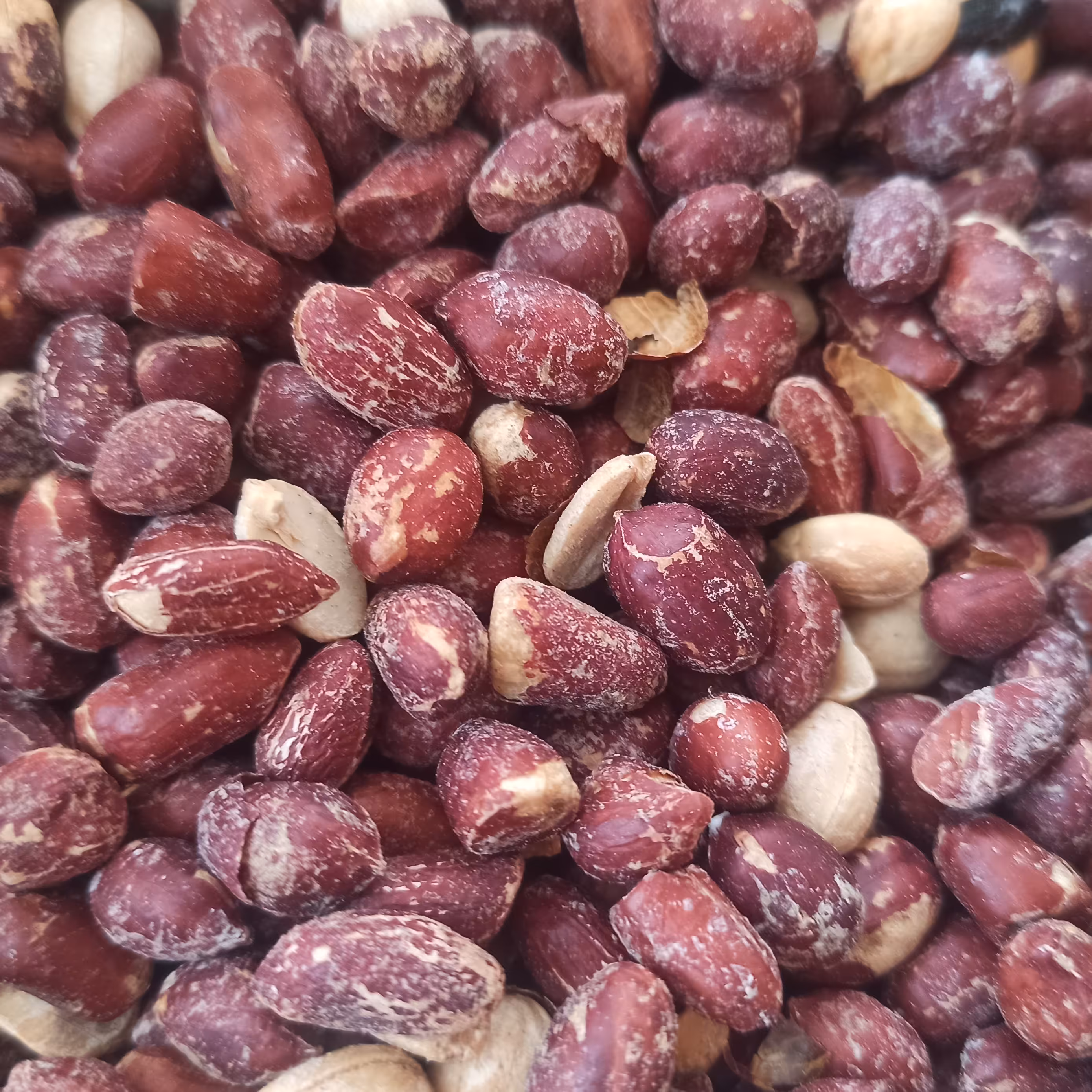 بادوم زمینی خارجی ترد و خوشمزه با طعم  لیمو...(پخته شده در نمک دریایی)