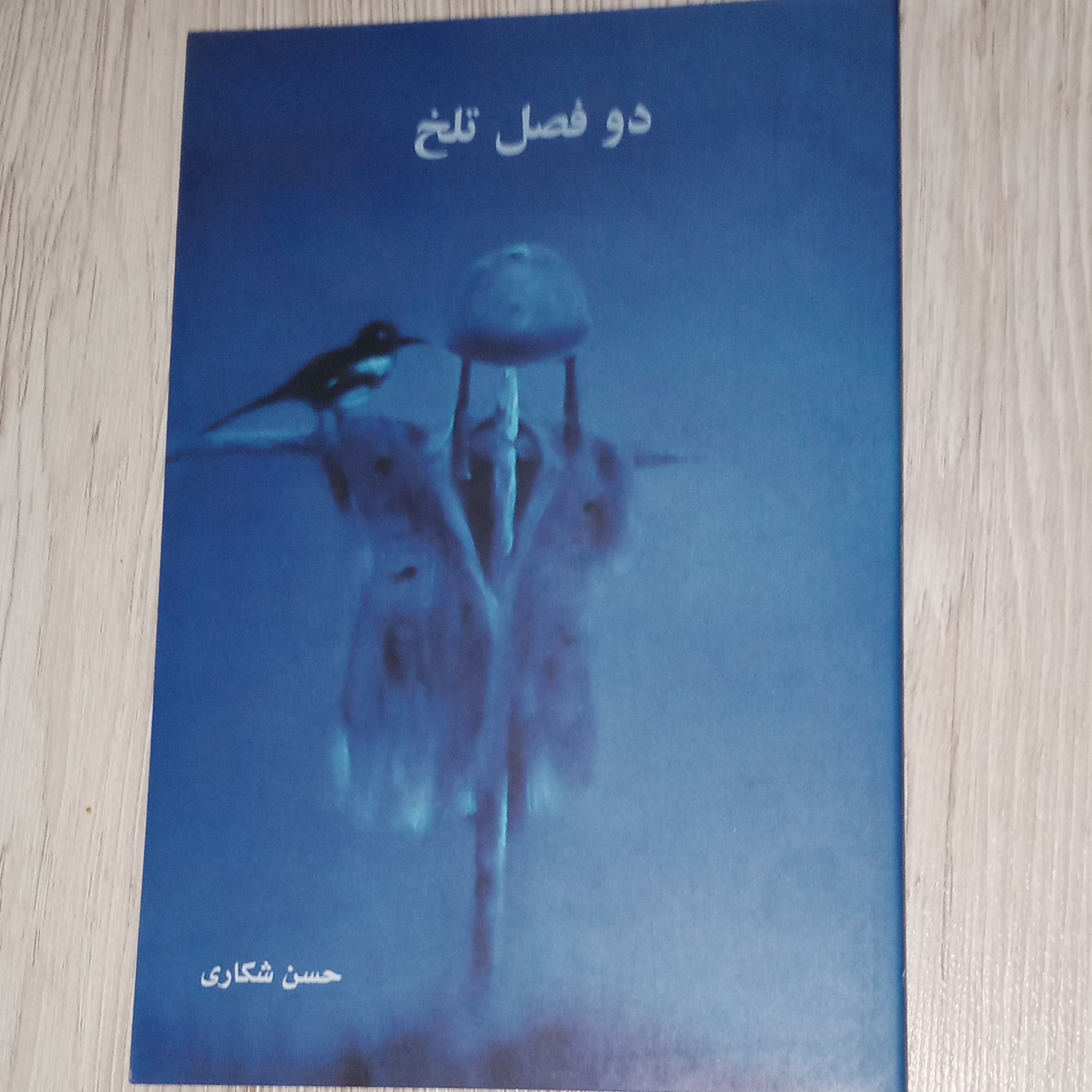 دو فصل تلخ