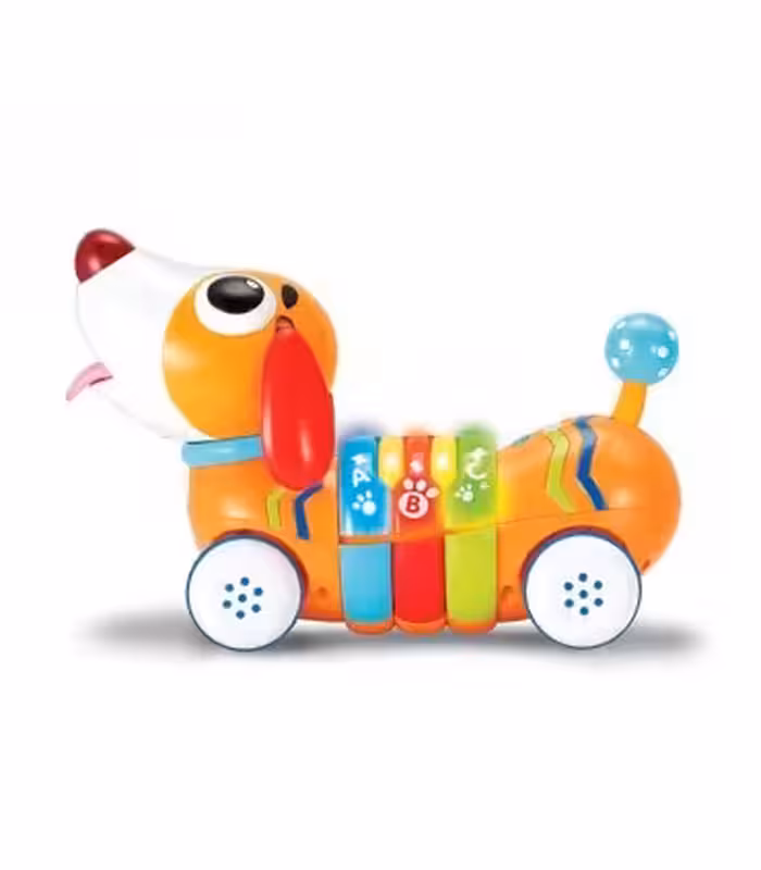 سگ کنترلی موزیکال رنگین کمان وین فان