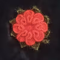 اسکاچ سوزنی طرح گل بسیار با کیفیت فروان بدون آسیب ب ظرف شما در دنگبندی زیبا مخصوص خاص پسندان و زیبا پسندان با کف مناسبی