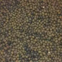 ماش محلی