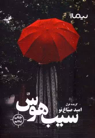 سیب هوس:گزیده غزل (پازل شعر امروز)