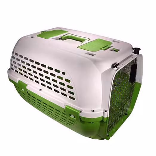 باکس سگ سایز 3نیم مدل دنیل رنگ سفید سبز