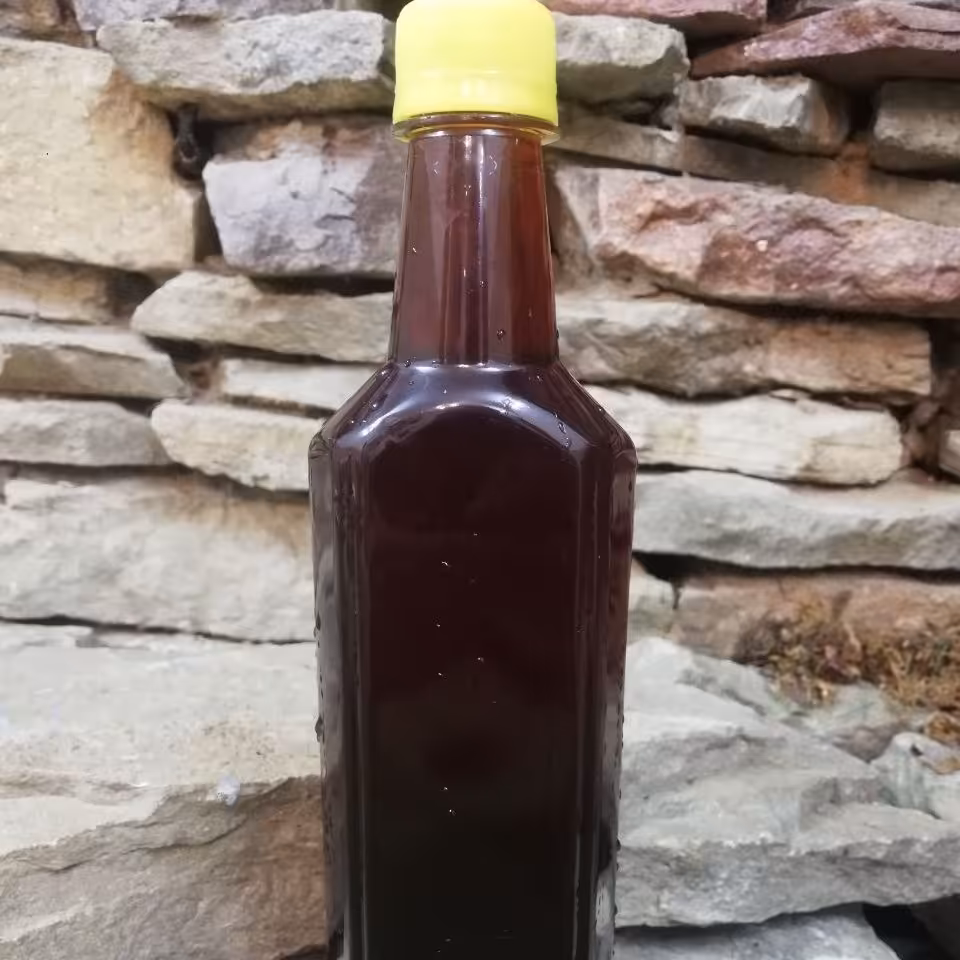 سکنجبین رازیانه غلیظ