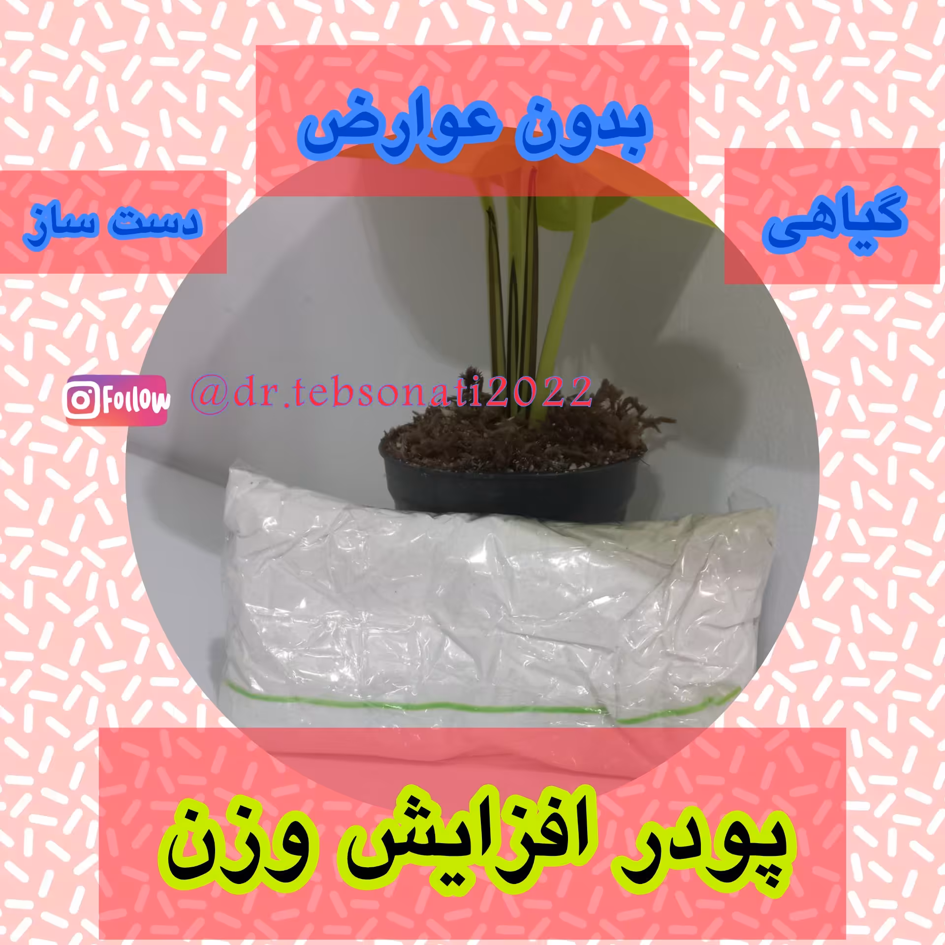 پودر  افزایش وزن 