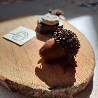 طرح پالت رنگ

در ابعاد مینیمال و گوگولی

آماده ارسال

قابل استفاده برای چاپ کاغذ  پارچه و سفال