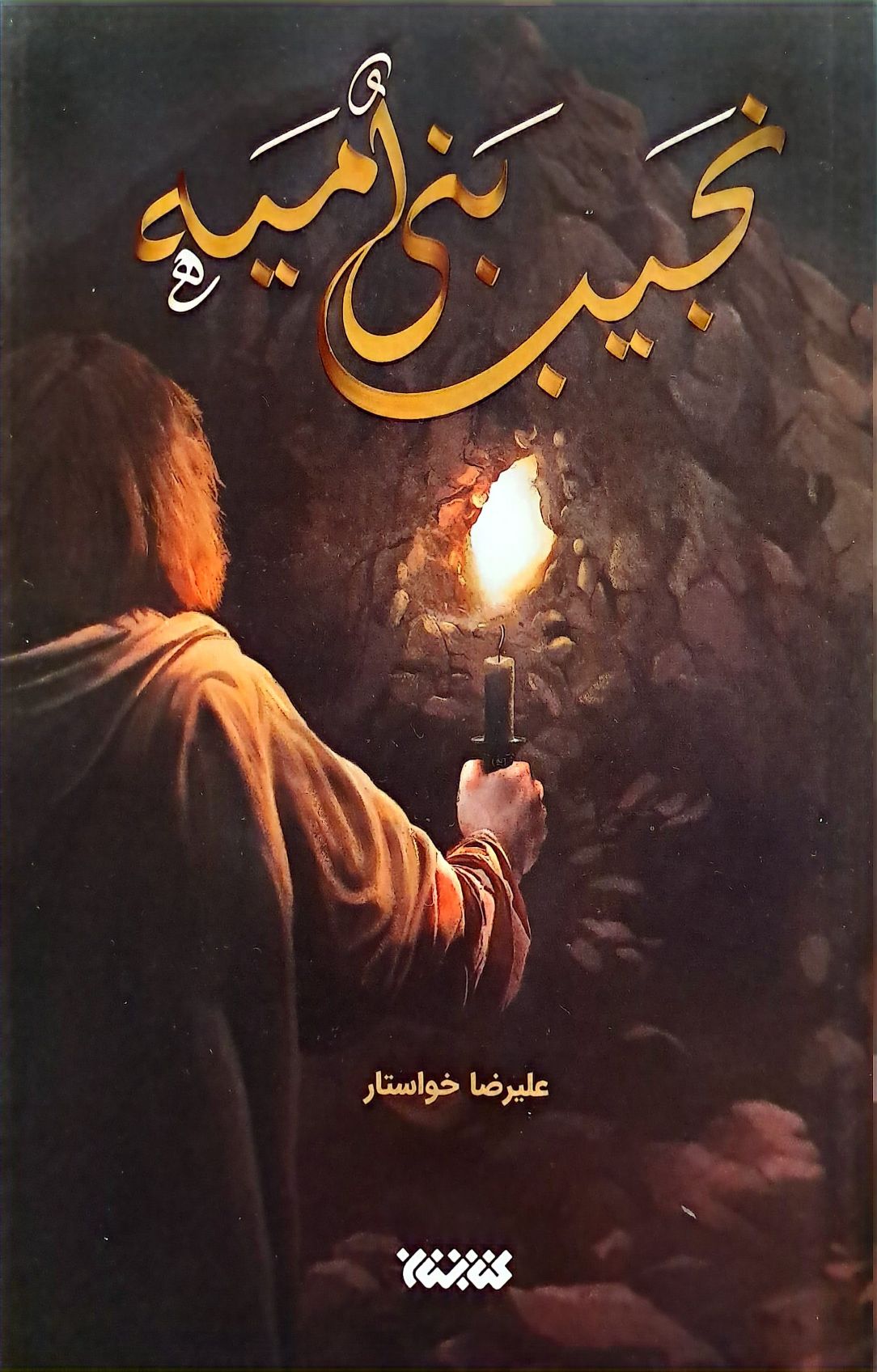 کتاب نجیب بنی امیه