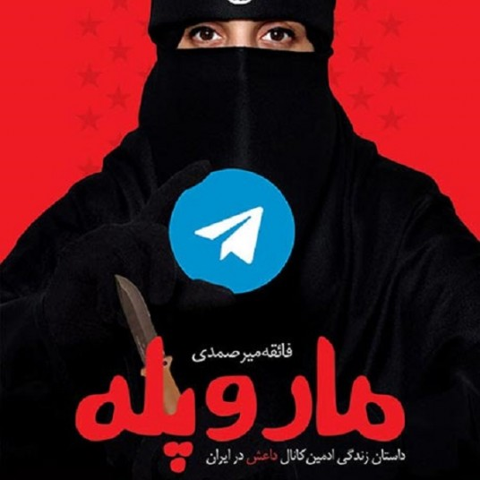 کتاب مار و پله داستان زندگی عجیب ادمین کانال داعش در ایران