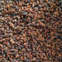 کشمش اعلا بدون روغن(250گرمی)