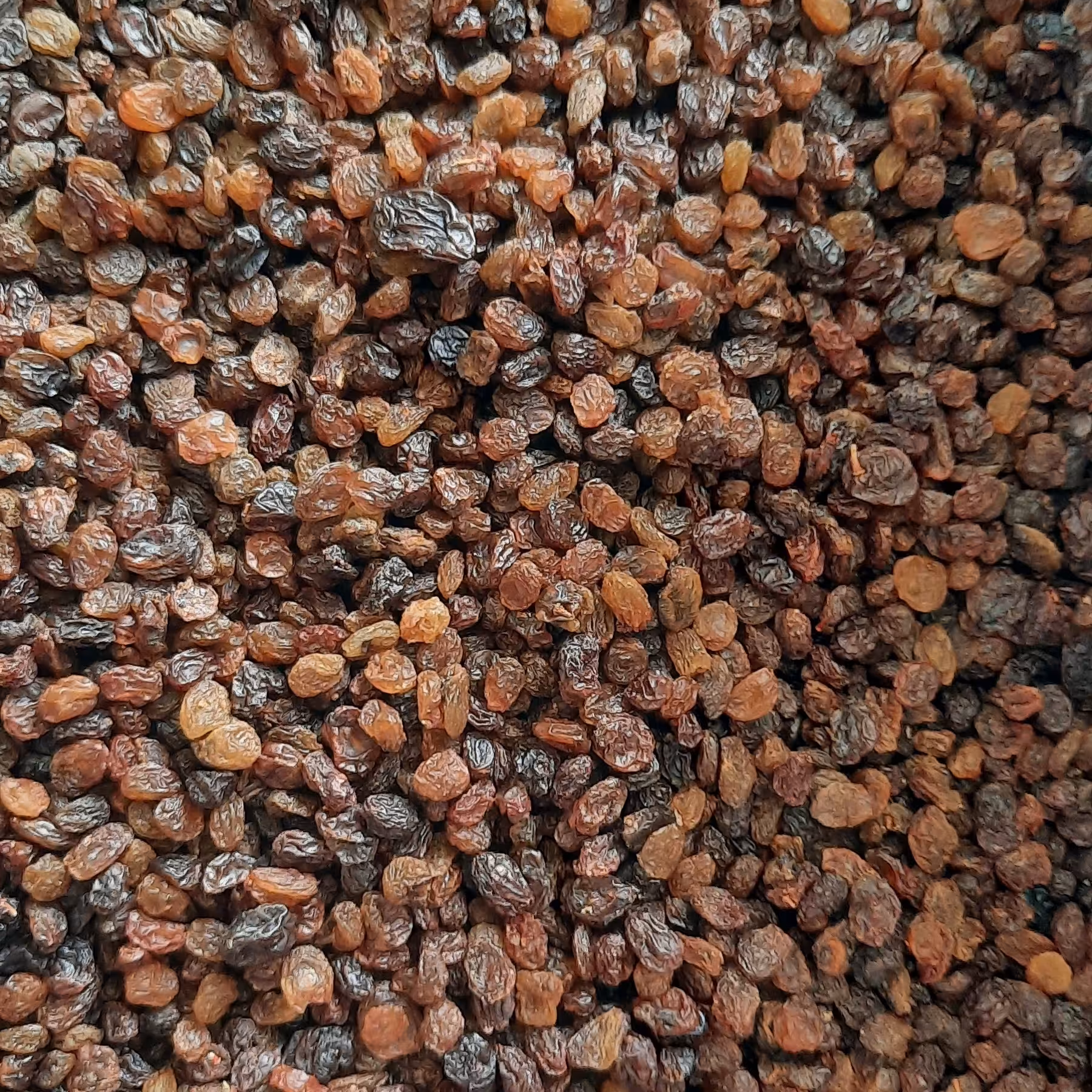 کشمش اعلا بدون روغن(250گرمی)