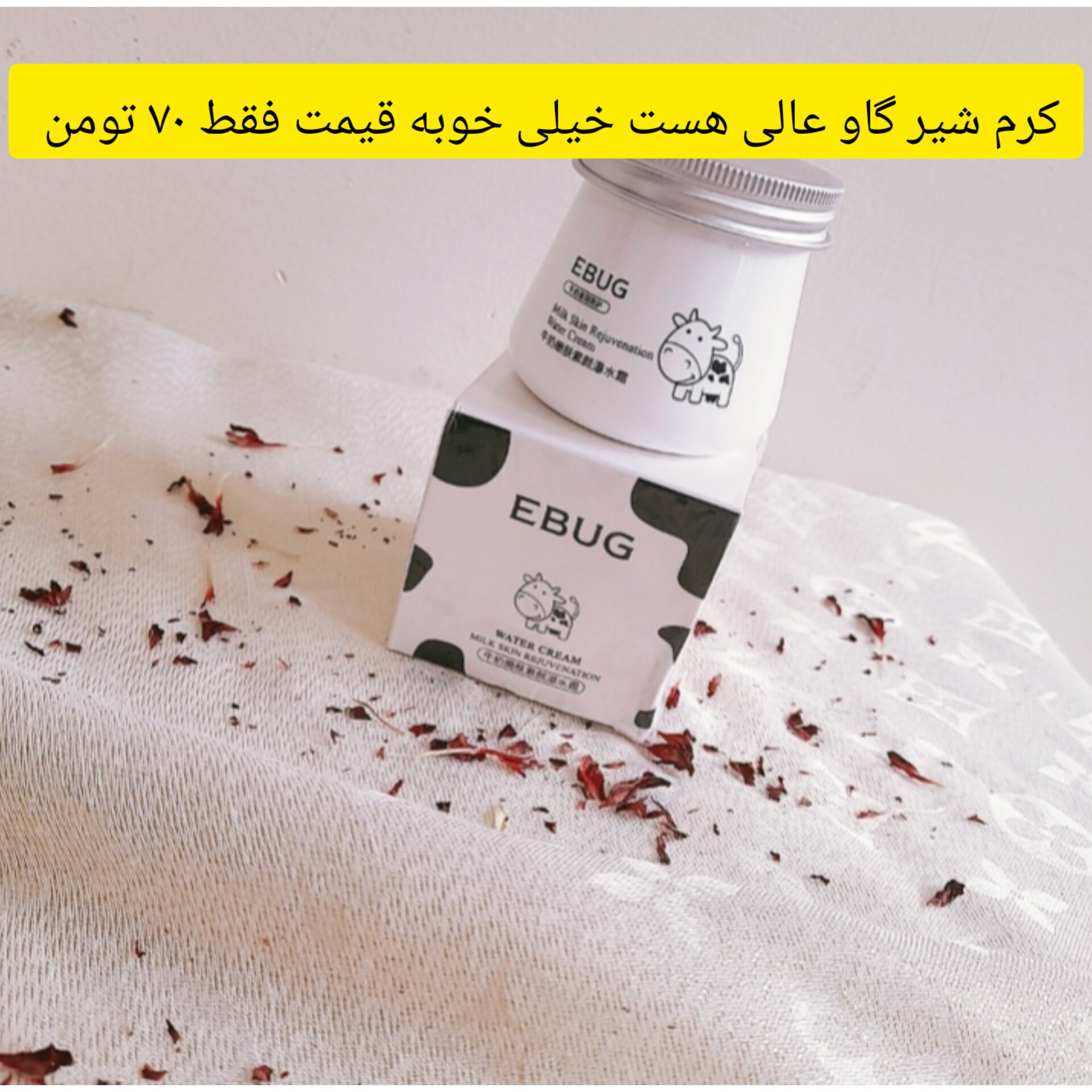 کرم شیرگاو آبرسان عالی