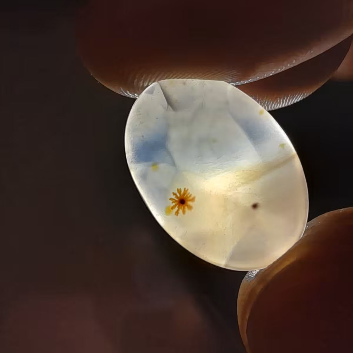 سنگ  انگشتری شجر