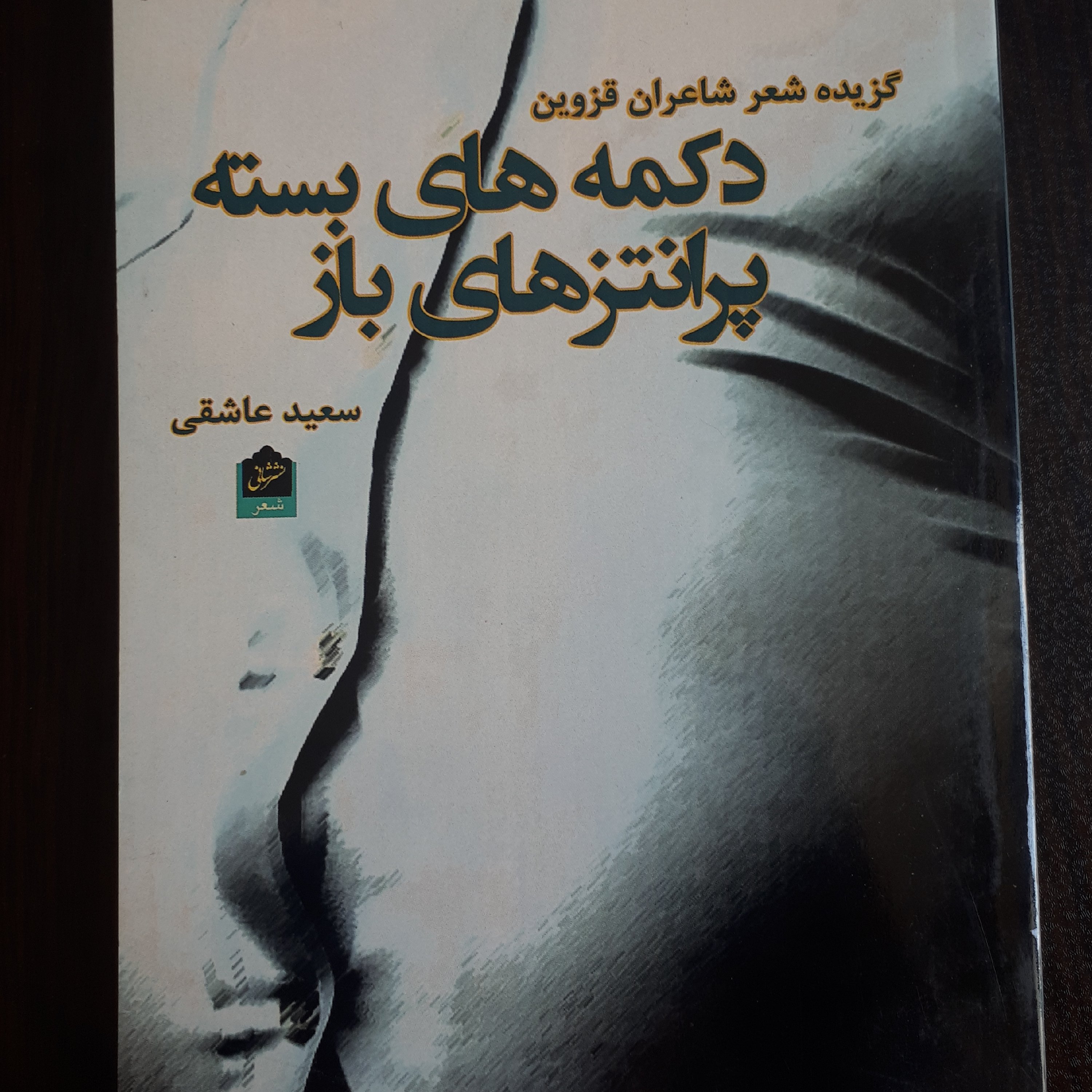 کتاب دکمه های بسته پرانتزهای باز( گزیده شعر شاعران قزوین)