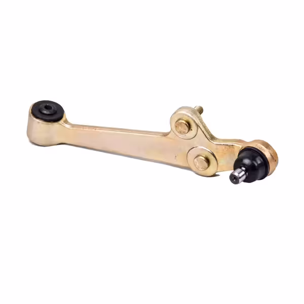 طبق ریو - تیبا چپ رفیع نیا