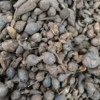 سعد کوفی - 500 گرم