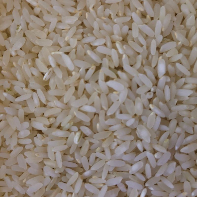 برنج لنجان درجه یک اعلا 10 کیلو گرمی
