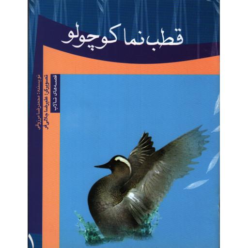 قصه های تالاب: قطب نما کوچولو