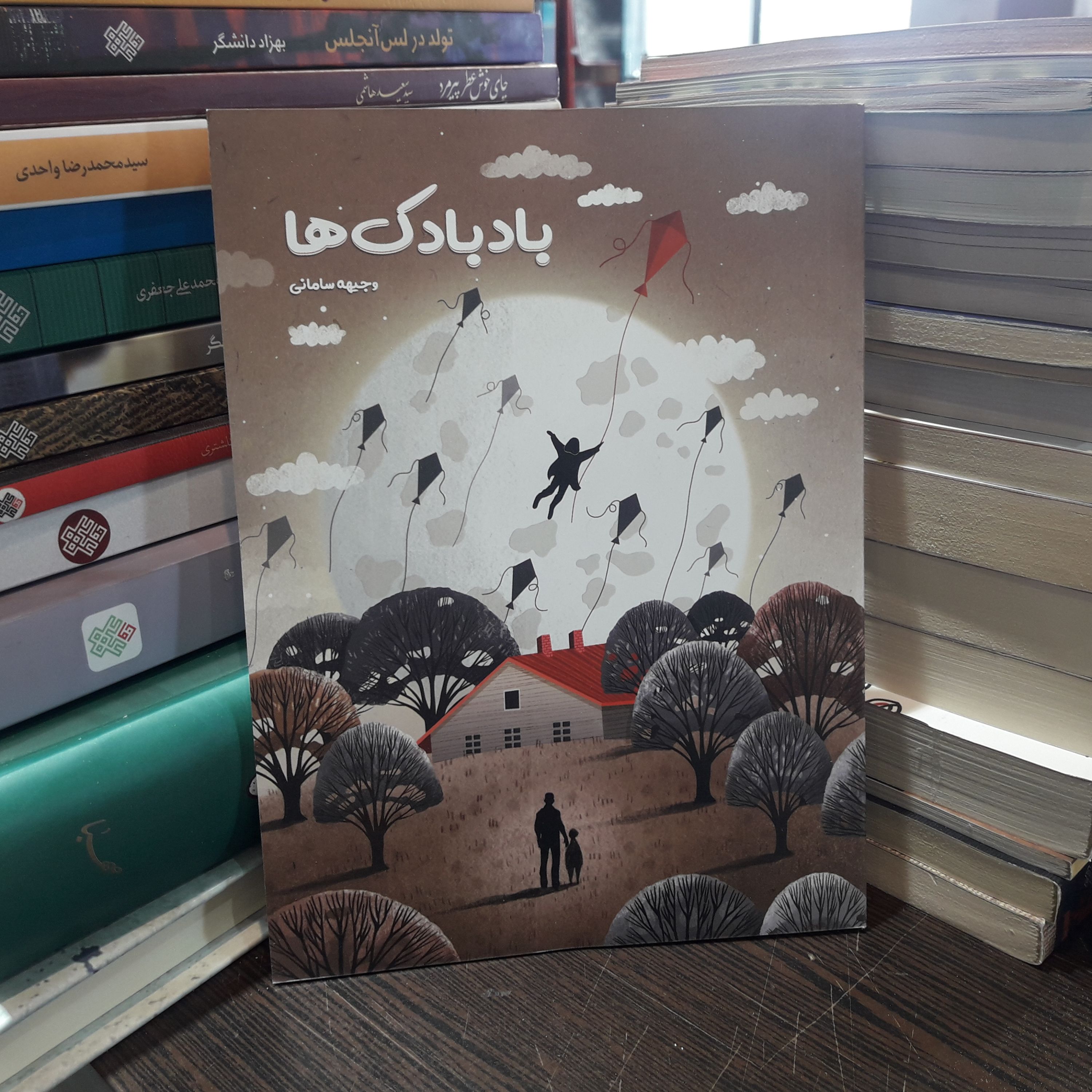 رمان بادبادک ها اثر وجیهه سامانی