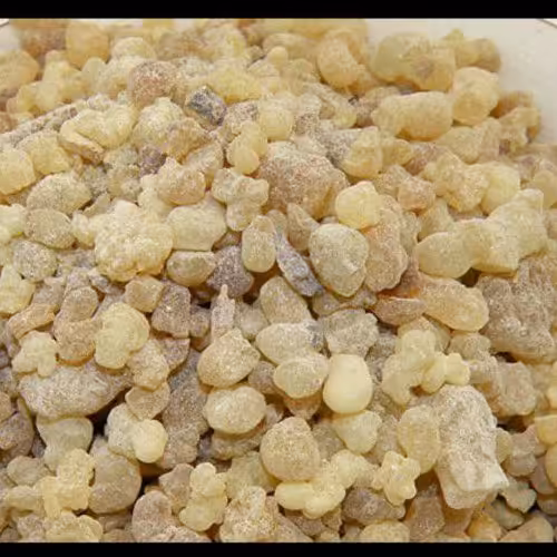 کندر خوراکی صددرصد تضمینی