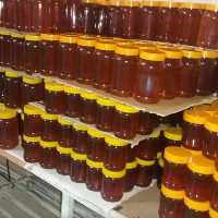 عسل طبیعی عمده  10  عدد 1 کیلویی بدون برچسب (خرید از زنبوردار نمونه و ارسال رایگان)