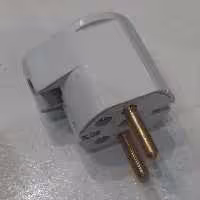 دو شاخه ارت دار 