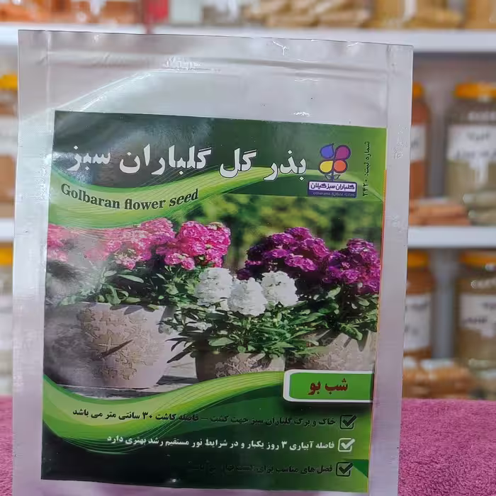 بذر گل شب بو اصلاح شده گیلان