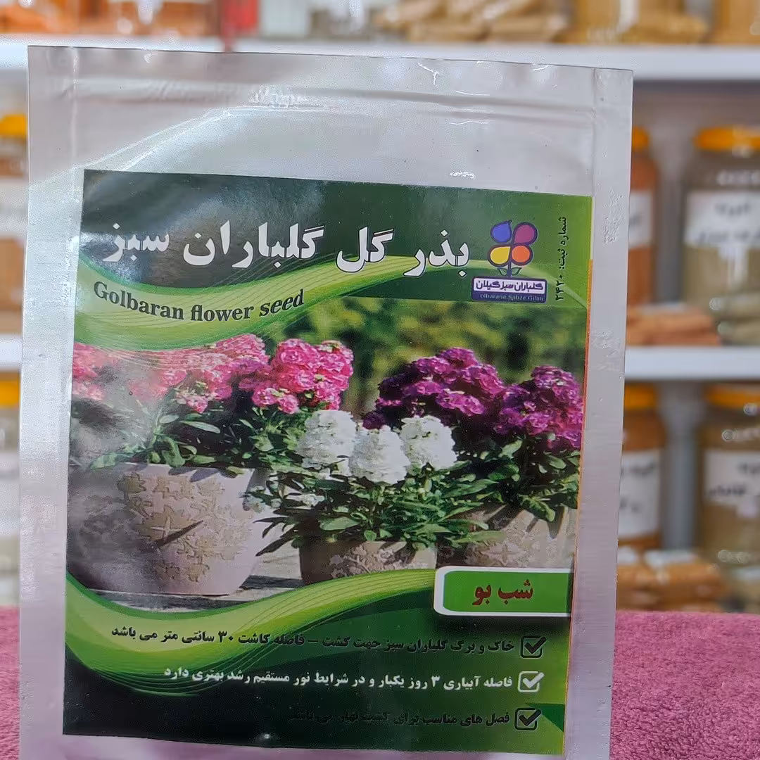بذر گل شب بو اصلاح شده گیلان