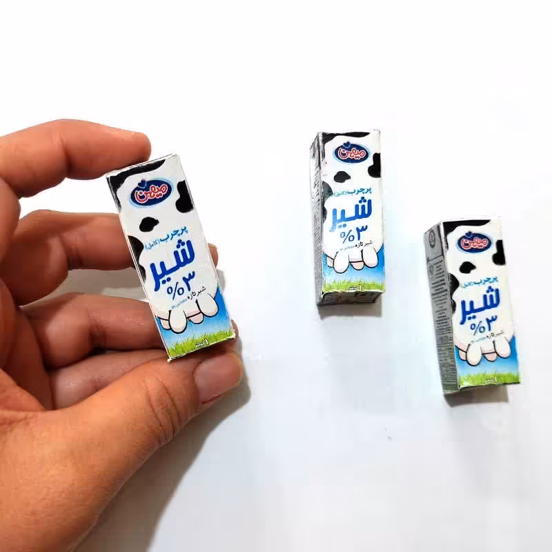 مگنت شیر پاکتی 