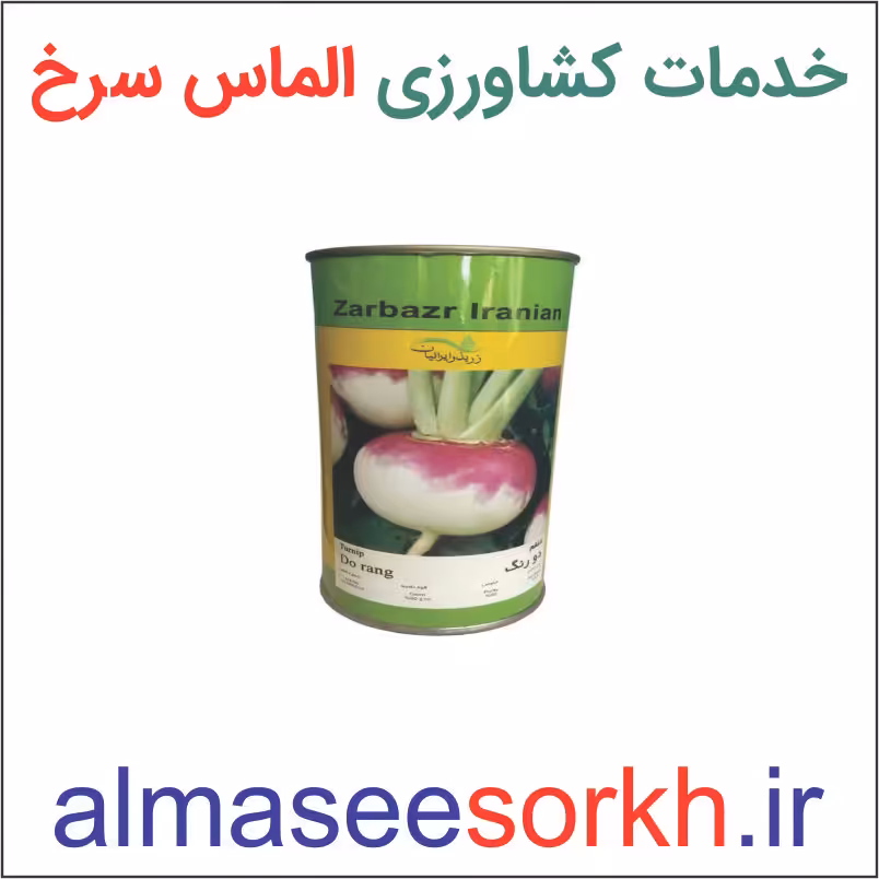 بذر شلغم دو رنگ زر بذر ایرانیان | گیاه پزشکی الماس سرخ